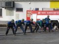 Kapr Hluboká nad Vltavou 5.12.2009